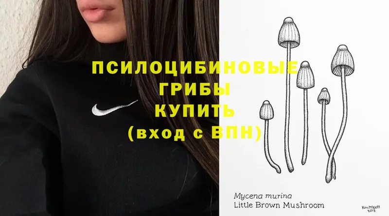 Галлюциногенные грибы Magic Shrooms  что такое наркотик  Десногорск 